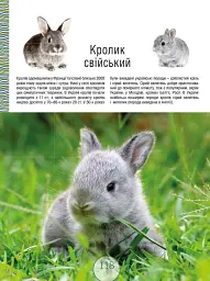 Малята-звірята - - мініатюра 8
