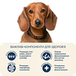 Беззерновий гіпоалергенний корм для малих порід собак Home Food з качкою та індичкою 10кг - мініатюра 4