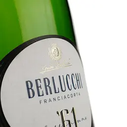Ігристе вино Guido Berlucchi 61 Franciacorta Extra Brut, біле, екстра брют, 12,5%, 0,375 л (R0978) - мініатюра 3