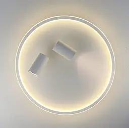 Стельова люстра LED в білому корпусі з направляючими спотами Line.F C 13/500 - мініатюра 7