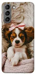 TPU чохол Demsky Sleepy spaniel для Samsung Galaxy S21