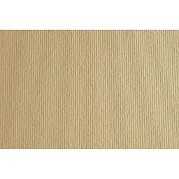 Папір для дизайну Fabriano Elle Erre B1 (70x100см) №01 panna 220г/м2 бежевий дві текстури