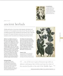 The Science of Plants - мініатюра 10