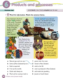 Grammar Goals. Level 5. Pupil's Book Pack - мініатюра 3