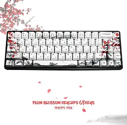 Набір клавіш MOLGRIA 68 для механічної клавіатури RK68 GK68, Custom PBT OEM Profile Key Caps Замовити - мініатюра 5