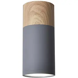 Точковий світильник Candellux 2284279 TUBA