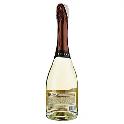 Вино ігристе Bolgrad Nectar, 10,5-12,5%, 0,75 л (556639) - мініатюра 2