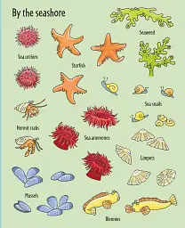First Sticker Book: Under the Sea - мініатюра 7