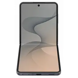 Мобільний телефон Samsung Galaxy Flip8 12/256Gb Graphite (SM-F776BZKGSEK) - мініатюра 4