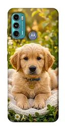 TPU чохол Demsky Small labradore для Motorola Moto G60