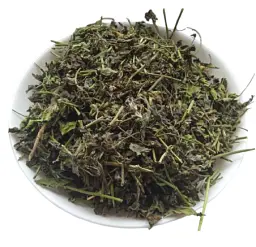 Шпинат Трава Шпінат Spinacia oleracea - мініатюра 1
