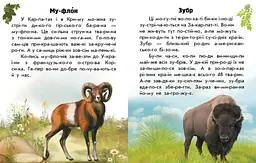 Читаю про Україну. Тварини гір С366021У - мініатюра 3
