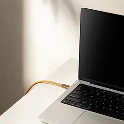 Кабель USB-C to USB-C Native Union Belt Cable Pro 240W Kraft 2.4 м (BELT-PRO2-KFT-NP) - мініатюра 6