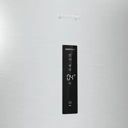 Холодильна камера Gorenje R619EAXL6 - мініатюра 10