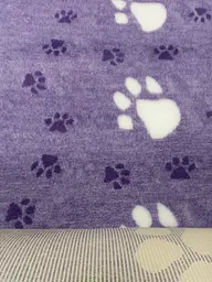 Килимок Jackson Textiles Big Paws violet 160х100 см (JT-021-1) - мініатюра 5