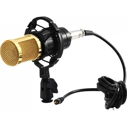 Мікрофон студійний конденсаторний Zeepin BM-800 [75297]
