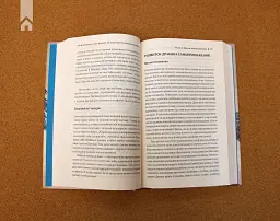 Приборкай своїх драконів. Як перетворити недоліки на переваги - Хосе Стівенс - мініатюра 4