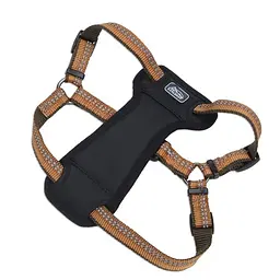 Шлея з нагрудником Coastal K9 Explorer Harness 2,3-4,5 кг для собак (36445_COG18)