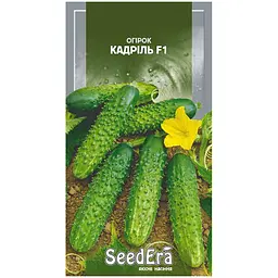 Огірок SeedЕra Кадріль F1 10 шт