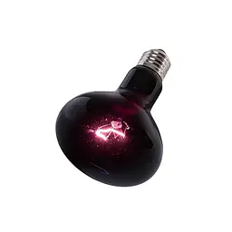 Нічна лампа з підігрівом Repti-Zoo Moonlight Heat 50W для рептилій та амфібій без UVA (D63050) - мініатюра 4