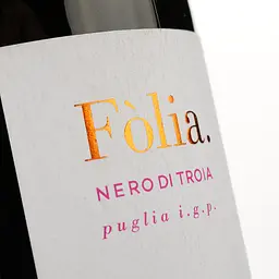 Вино Diomede Folia червоне сухе 0.75 л - мініатюра 3