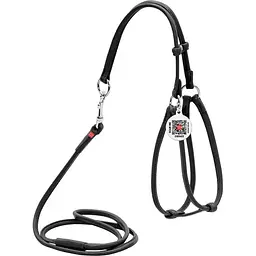 Шлея з повідцем для собак Waudog Glamour, шкіряна, кругла, з QR паспортом, 42-60х46-64х0,6/105 см, чорний (34021)