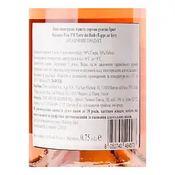 Вино ігристе Terre dei Buth Frizzante Rose рожеве брют 0.75 л  - мініатюра 3