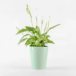 Горщик для квітів МВМ My Home, 16 см, зелений (DH-FLOWERS-29 GREEN) - мініатюра 4