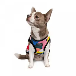 Майка-борцовка Pet Fashion Cool для собак, розмір XS2, з принтом - мініатюра 2