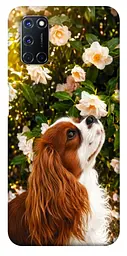 TPU чохол Demsky Flower spaniel для Oppo A52 / A72 / A92