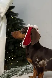 Шапка-вушанка для собак Hat-Dog Новорічна (L) - мініатюра 5