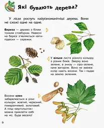 Дитяча енциклопедія про ліс 614016 для дошкільнят - мініатюра 3