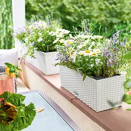 Вазон Lechuza Balconera Cottage, 8 л, білий (15600) - мініатюра 6