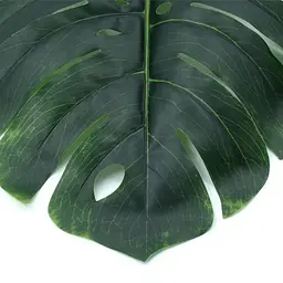 Штучне листя Engard Monstera 74 см (TW-06) - мініатюра 5