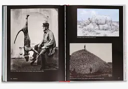 Why We Photograph Animals - Х'ю Льюїс-Джонс - мініатюра 7