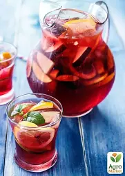 Саджанець Agro-Market Персик червоно-вишневий Королівський (Royal) (англійська селекція, преміальний великоплідний сорт) 1 шт. в упаковці (39942) - мініатюра 4