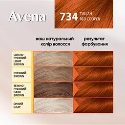 Cтійка крем-фарба для волосся Avena Gloss Color тиціан 734 138 мл - мініатюра 4