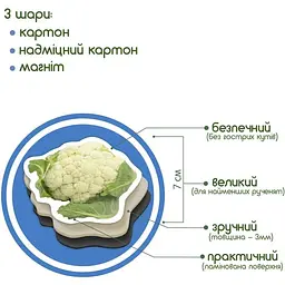 Набір магнітів Magdum Овочі ML4031-12 EN - мініатюра 6