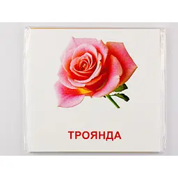 Картки міні Zirka Квіти 110х110 мм UA-ENG 72754 - мініатюра 8