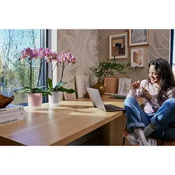 Горшик Elho Vibes fold orchid high 13 см рожевий (527693) - мініатюра 6