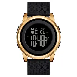 Наручний годинник Skmei 1502 Gold, 1502GD (18484)