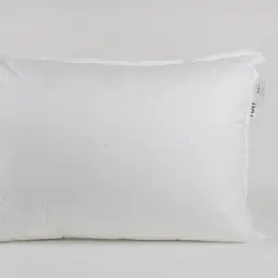 Подушка ТЕП Лебединий 70x70 см (тік білий) (3-02916_00000)