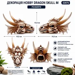 Декорація череп дракона Hobby Dragon Skull M 19,5×14,5×13,5 см для акваріума і тераріума (32075) - мініатюра 5
