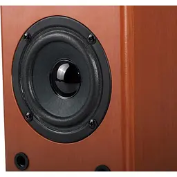 Акустична система F&D R-215 Beech [134913] - мініатюра 5