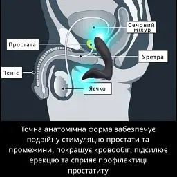 Масажер простати I’MCUM Pulse Rider 12 режимів вібрації Чорний (IM-KGS007) - мініатюра 4