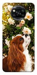 TPU чохол Demsky Flower spaniel для Xiaomi Poco X3 NFC / Poco X3 Pro