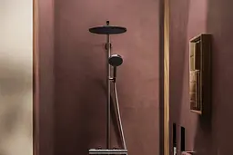 Душова система з термостатом Hansgrohe Raindance Alive S Puro 300 1jet EcoSmart Ecostat Element chrome 24593000 - мініатюра 6