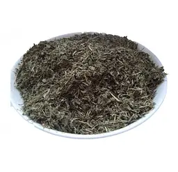 Спориш Трава Шпориш Куряча трава Конотоп Моріжок Polygonum aviculare - мініатюра 1