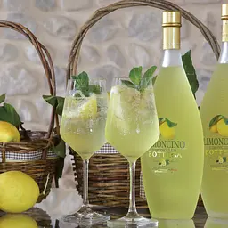 Лікер Bottega Limoncino, 30%, 0,5 л (671481) - мініатюра 3