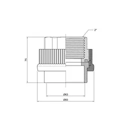 Муфта PPR Thermo Alliance 63х2" ВР DSB210